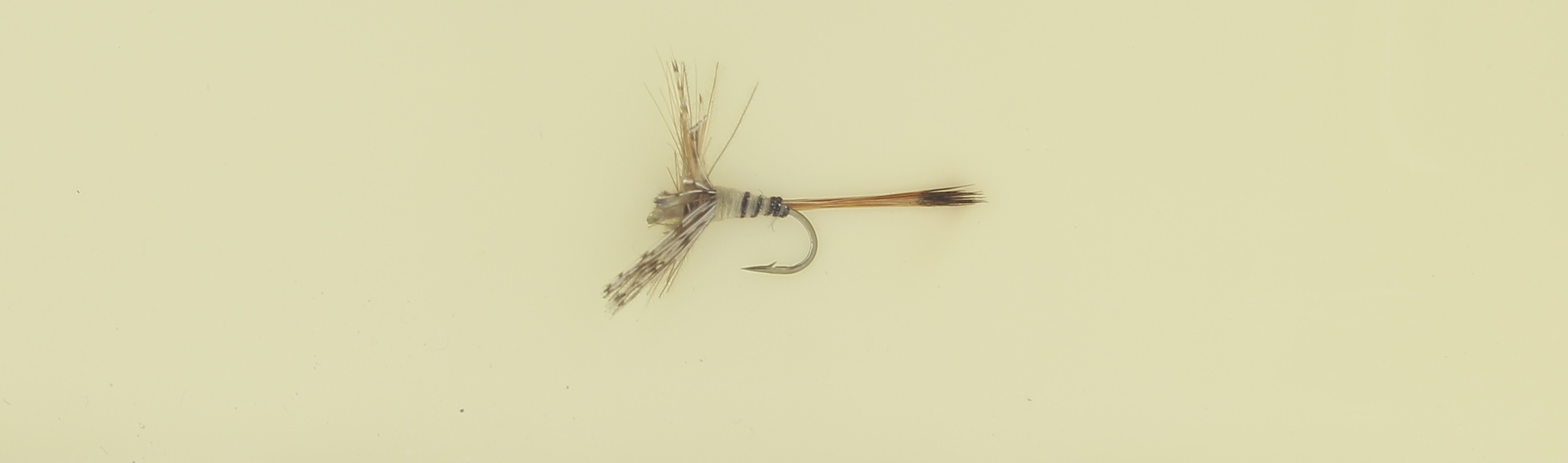 Inclusion, fly fishing
